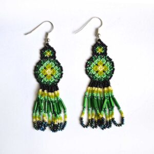 Ensemble de boucles d'oreilles (Microchaira)