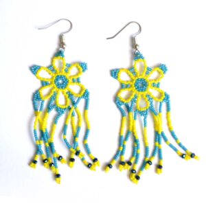 Ensemble de boucles d'oreilles (Microchaira)
