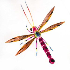 Alebrije - Libelula