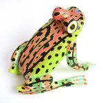 Rana de Alebrije