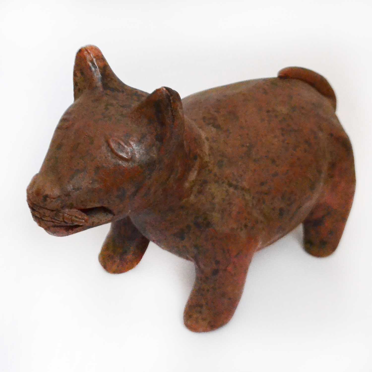 Xoloescuincle Hund