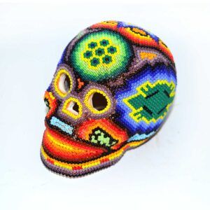 Crâne Huichol (M)