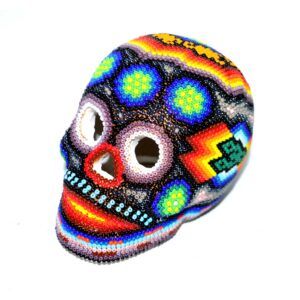 Crâne Huichol (M)
