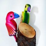 Aleprije.- Pericos