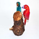 Aleprije - Pericos