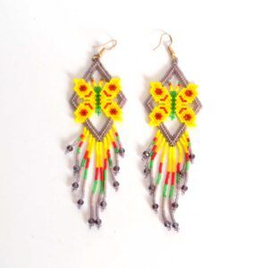 Ensemble de boucles d'oreilles (Microchaira)