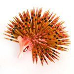 Porc-épic - Alebrije
