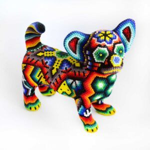 Chien Chihuahua
