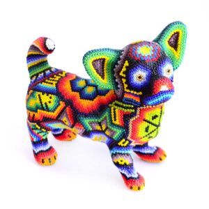 Chien Chihuahua