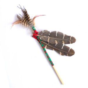 Huichol Art Muwieri